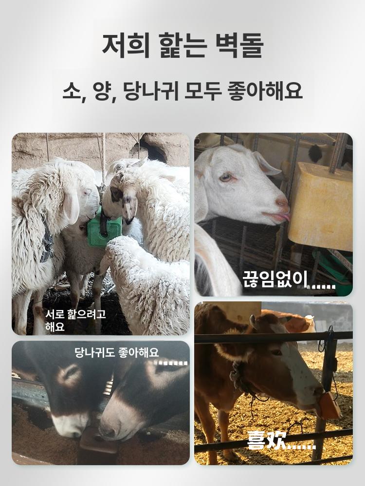 가축 소금 벽돌 블록 염소 양 미네랄 영양제 보충제 혼합 4개 세트 20kg - 상세 이미지 3