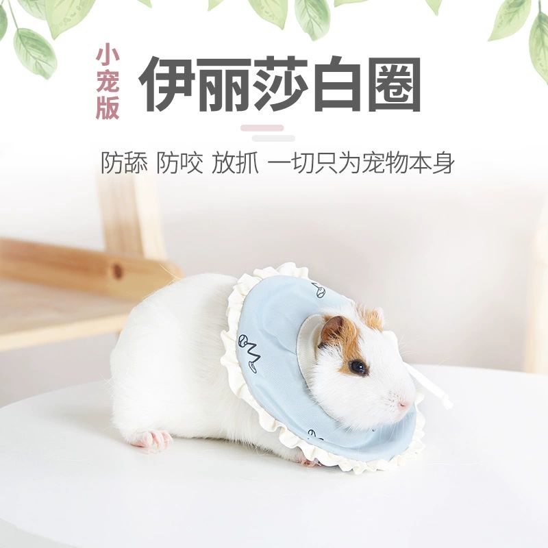 기니피그 도넛 넥카라 목카라 애완동물 고슴도치 친칠라 핫핑크 S 사이즈 목둘레6-12cm - 상세 이미지 2