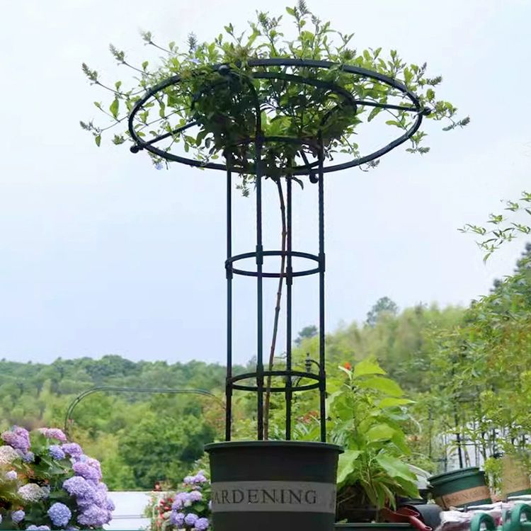 꽃걸이 랙 넝쿨 원형 원예 장미 우산형 꽃 거치대 지주대 등나무 정원 단일링 블랙 직경 28cm 110cm 중간 - 상품 이미지
