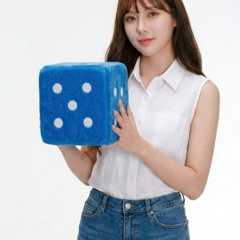 대형주사위 큰주사위 체육 게임 놀이 레크레이션 장난감 - 상품 이미지