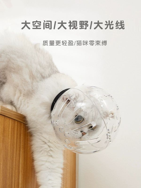 고양이 손톱 보호구 미용 넥카라 깍을때 투명 모자 발톱 할큄 방지 덮개 화이트 고양이 참고 수 개의 수 아님 M 3.0-4.5kg 18-22cm - 상세 이미지 4