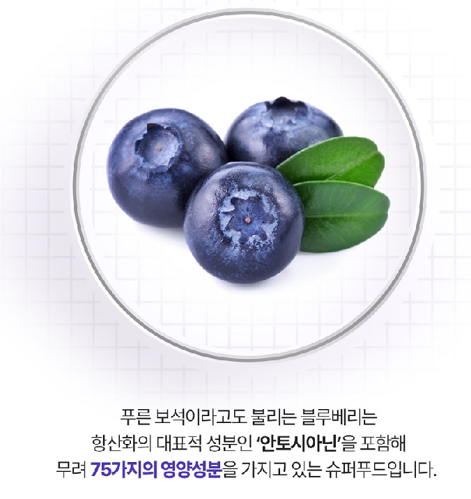 그레이드A블루베리퓨레 퓨리 100% 유기농 통째로간블루베리 이미지 6