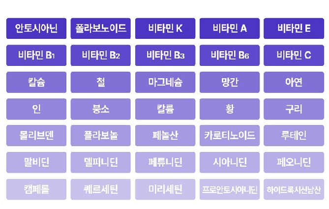 그레이드A블루베리퓨레 퓨리 100% 유기농 통째로간블루베리 - 상세 이미지 5