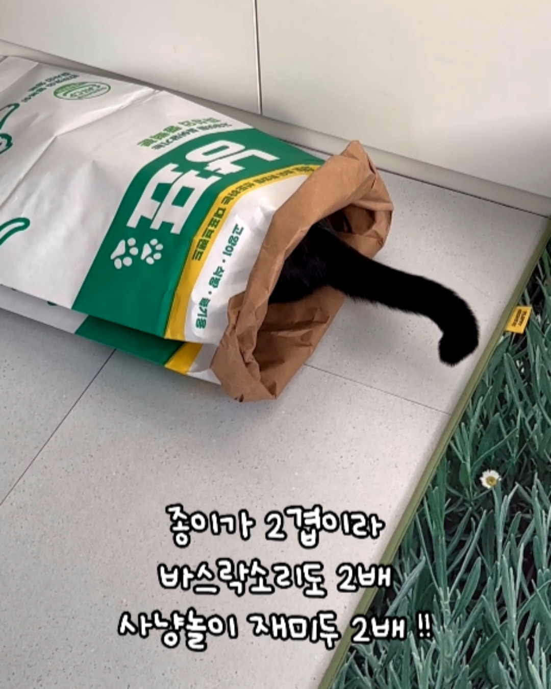 내꼬냥 고양이 바스락 숨숨집 대형 터널 냥표 냥봉투 84 X 39.5CM - 상세 이미지 3