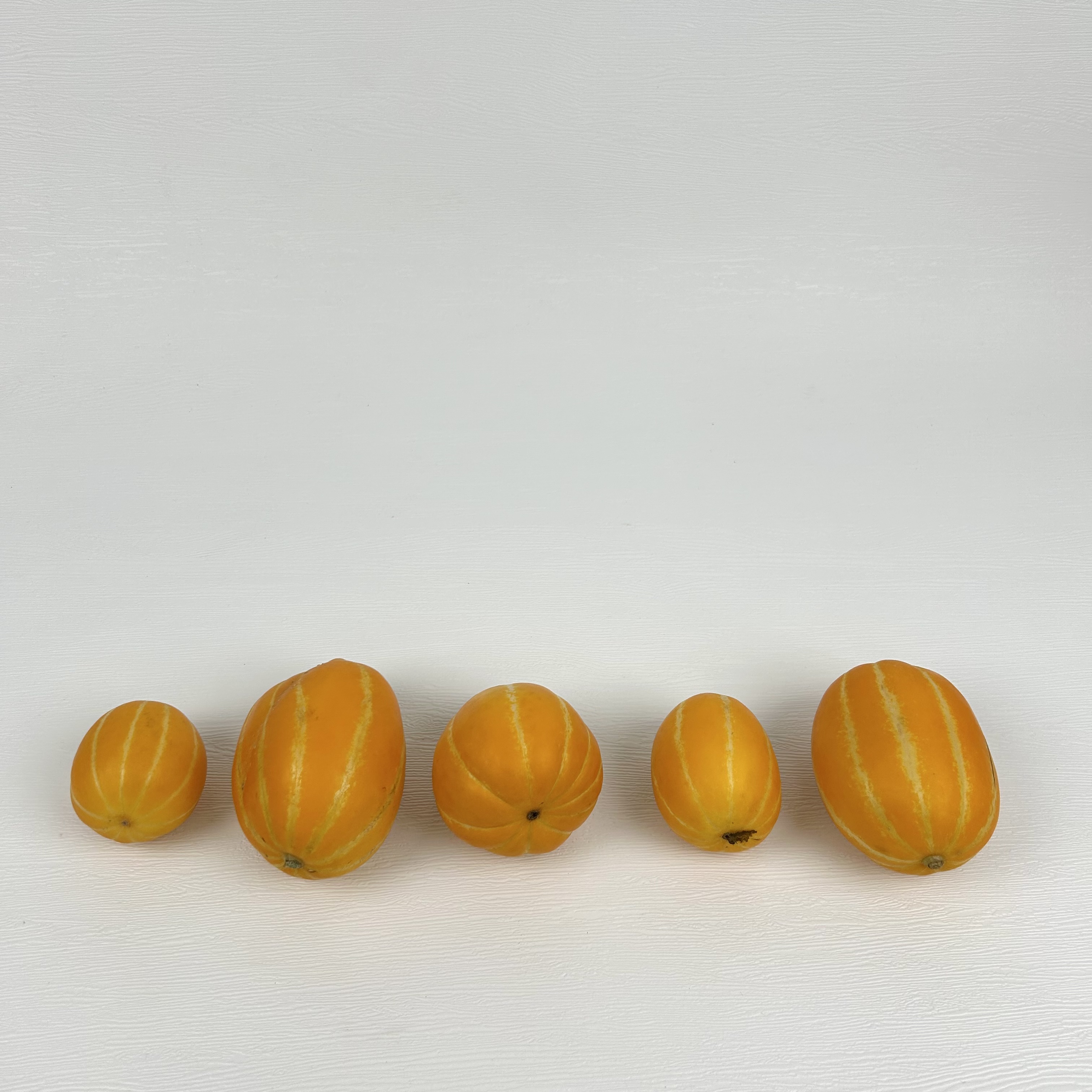 토해원 초고당도 껍질째 먹는 한입 꼬마 성주 참외 1kg 2kg 5kg 이미지 7
