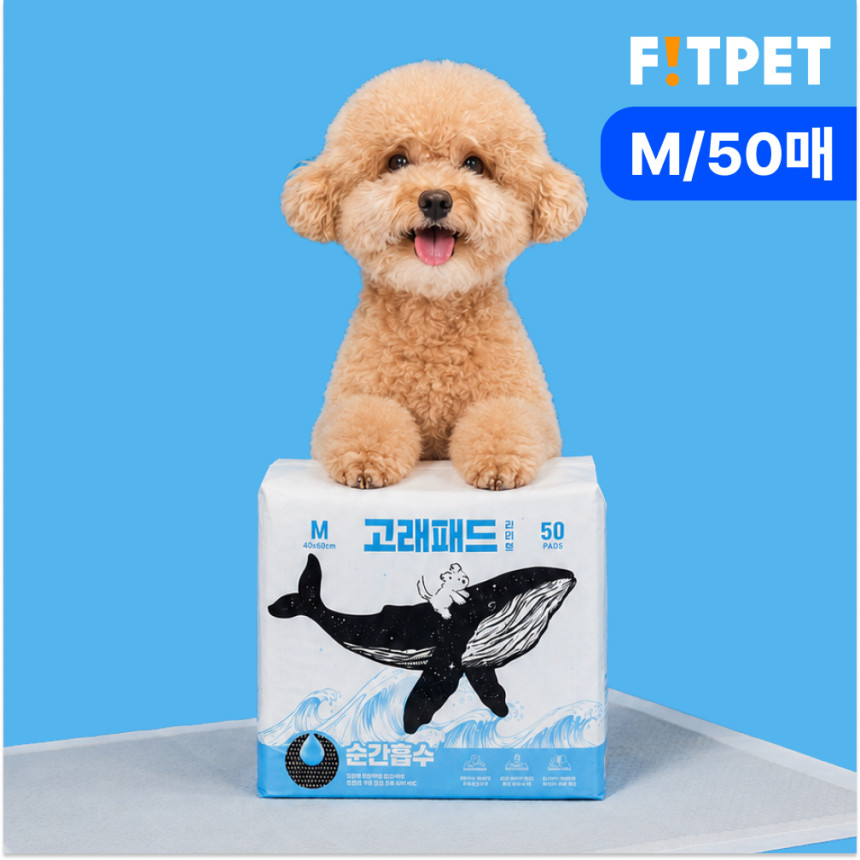 1초 흡수 고래패드 오리지널
