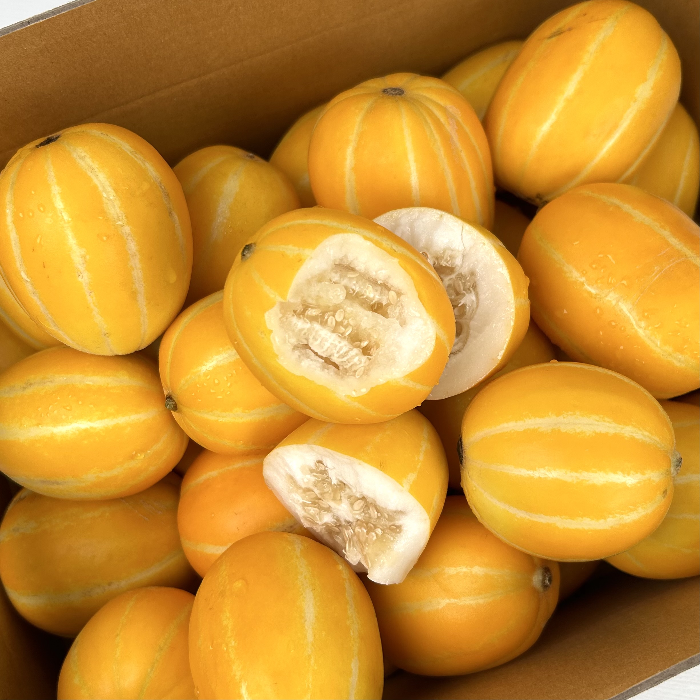 토해원 초고당도 껍질째 먹는 한입 꼬마 성주 참외 1kg 2kg 5kg - 상세 이미지 3