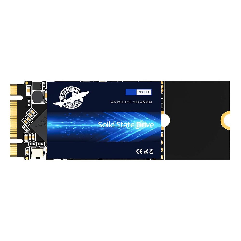 SSD M.2 2260 1TB 도그피쉬 Ngff 내장 솔리드 스테이트 드라이브 고성능 하드 SATA III 6Gb /s에는 SSD(1TB 2260)가 포함되어 있습니다 - 상품 이미지