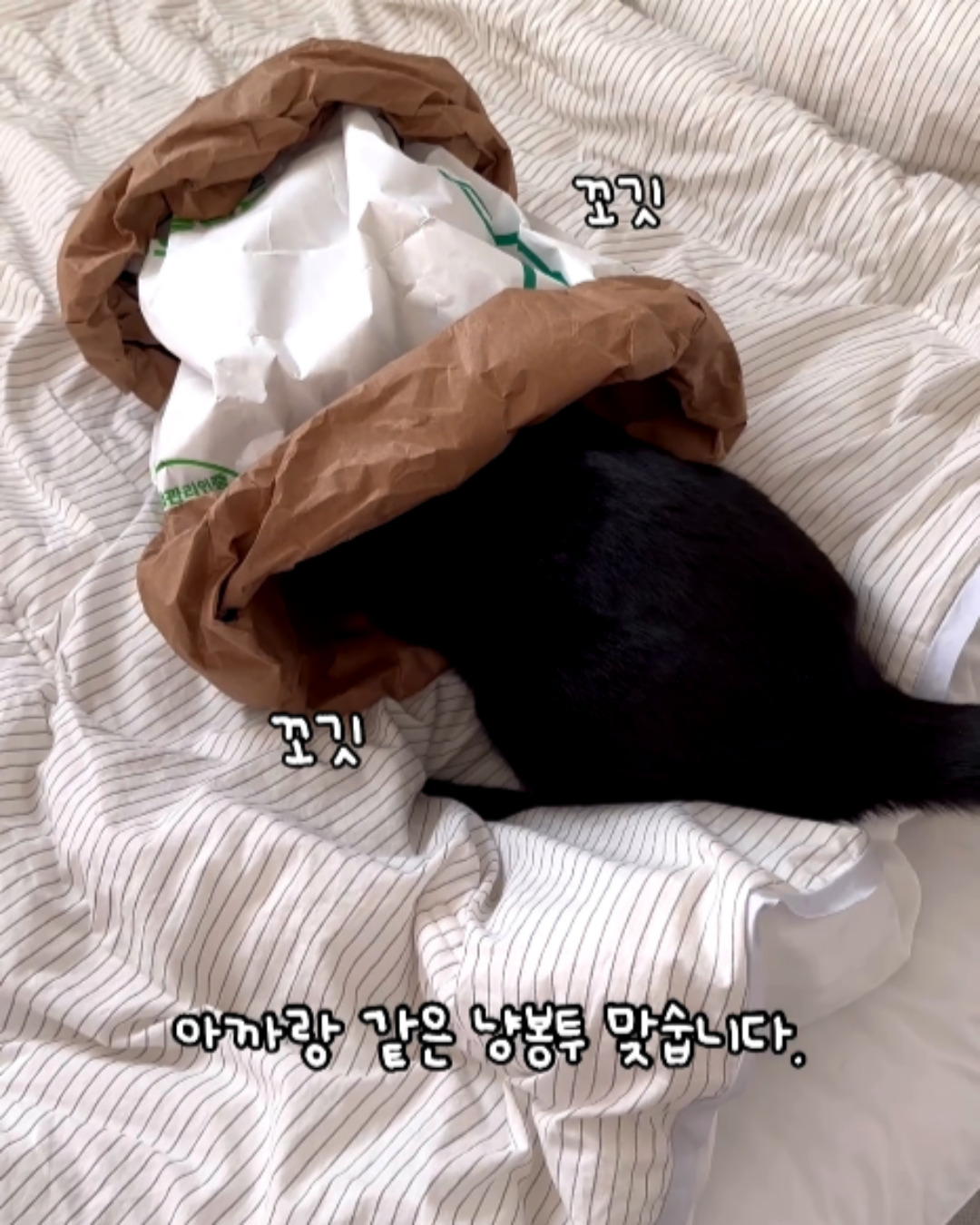 내꼬냥 고양이 바스락 숨숨집 대형 터널 냥표 냥봉투 84 X 39.5CM - 상세 이미지 5