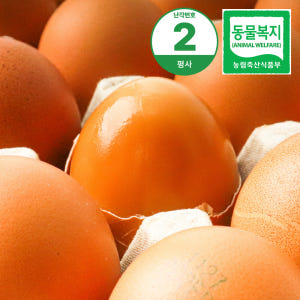 난각번호2번 동물복지 구운계란 구운란 대란 30구 맥반석 훈제 계란 맛있게 먹은 솔직 후기 - 상품 이미지 1