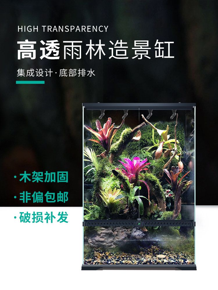 이끼테라리움 조경 크탑 미니어처 신선한 풍경 만들기 재료 비바리움 피규어 DIY 키트 식물 - 상세 이미지 5