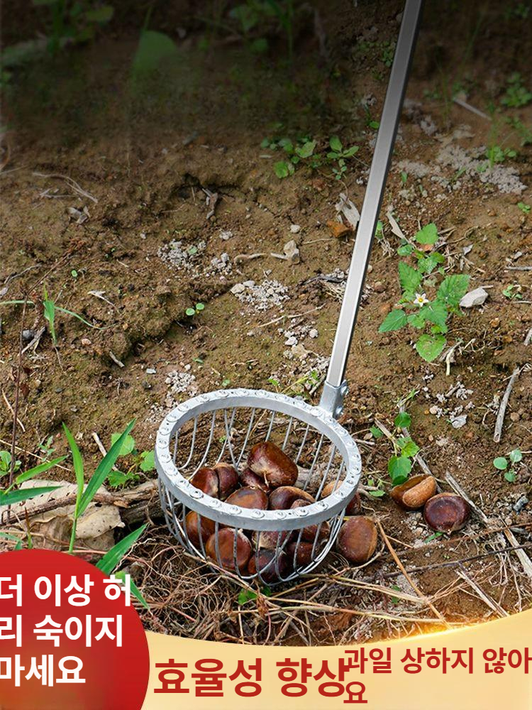 밤 도토리 줍는 기계 대추 매실 호두 수집기 도구 갈쿠리 막대 농업용 70cm 표준 밤 - 상세 이미지 2