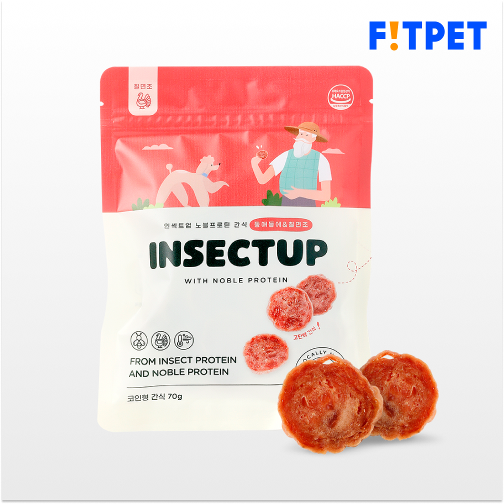 인섹트업 노블프로틴 3종(1ea/3ea) 강아지 육포 간식 칠면조, 70g, 1개 - 상품 이미지