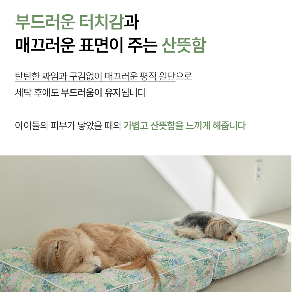 강아지 방석 강아지 쿠션 방석 - 상세 이미지 4
