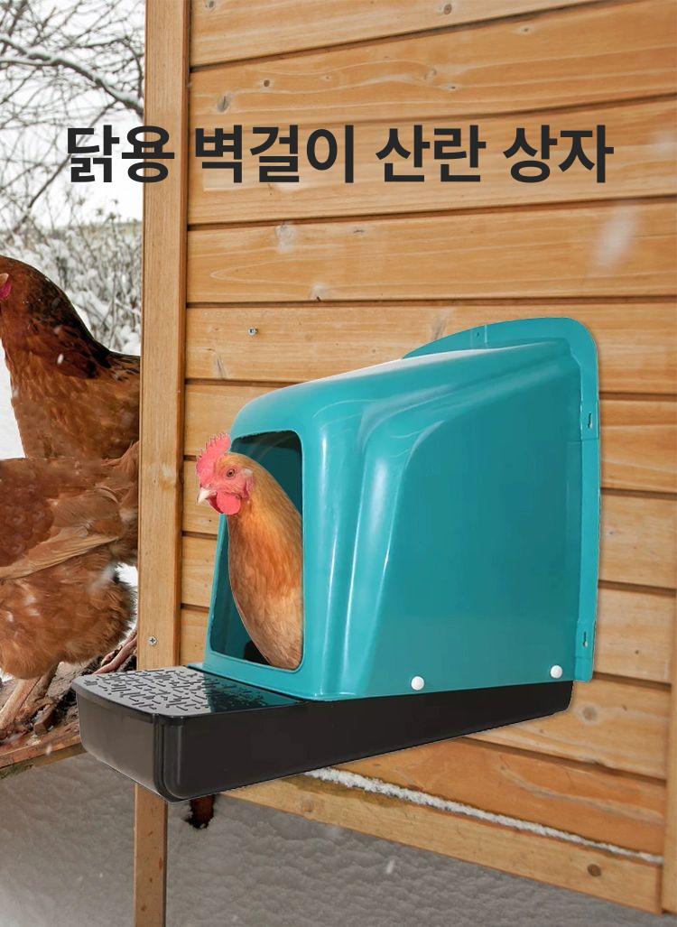 닭산란통 계란 플라스틱 둥지 달걀 암탉 단일 항목 - 상세 이미지 3