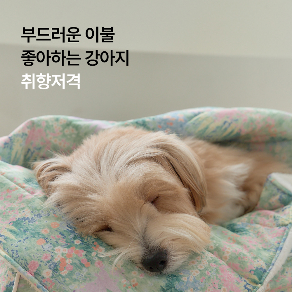 강아지 방석 강아지 쿠션 방석 - 상세 이미지 3