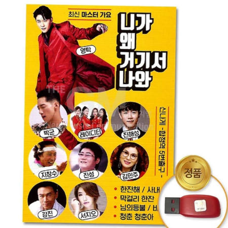 디스코 (더지엠)USB_니가왜거기서나와102곡