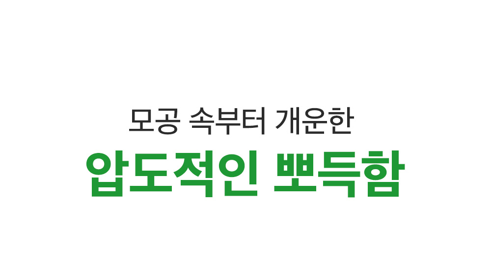 sungboon editor green tomato cleansing foam