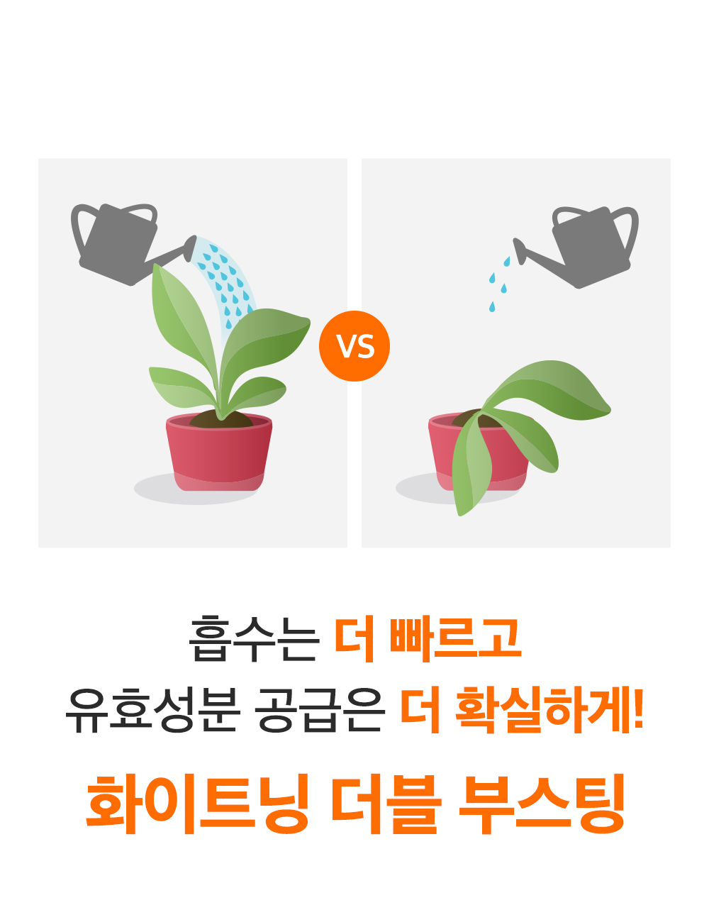sungboon editor marine astaxanthin sheet mask