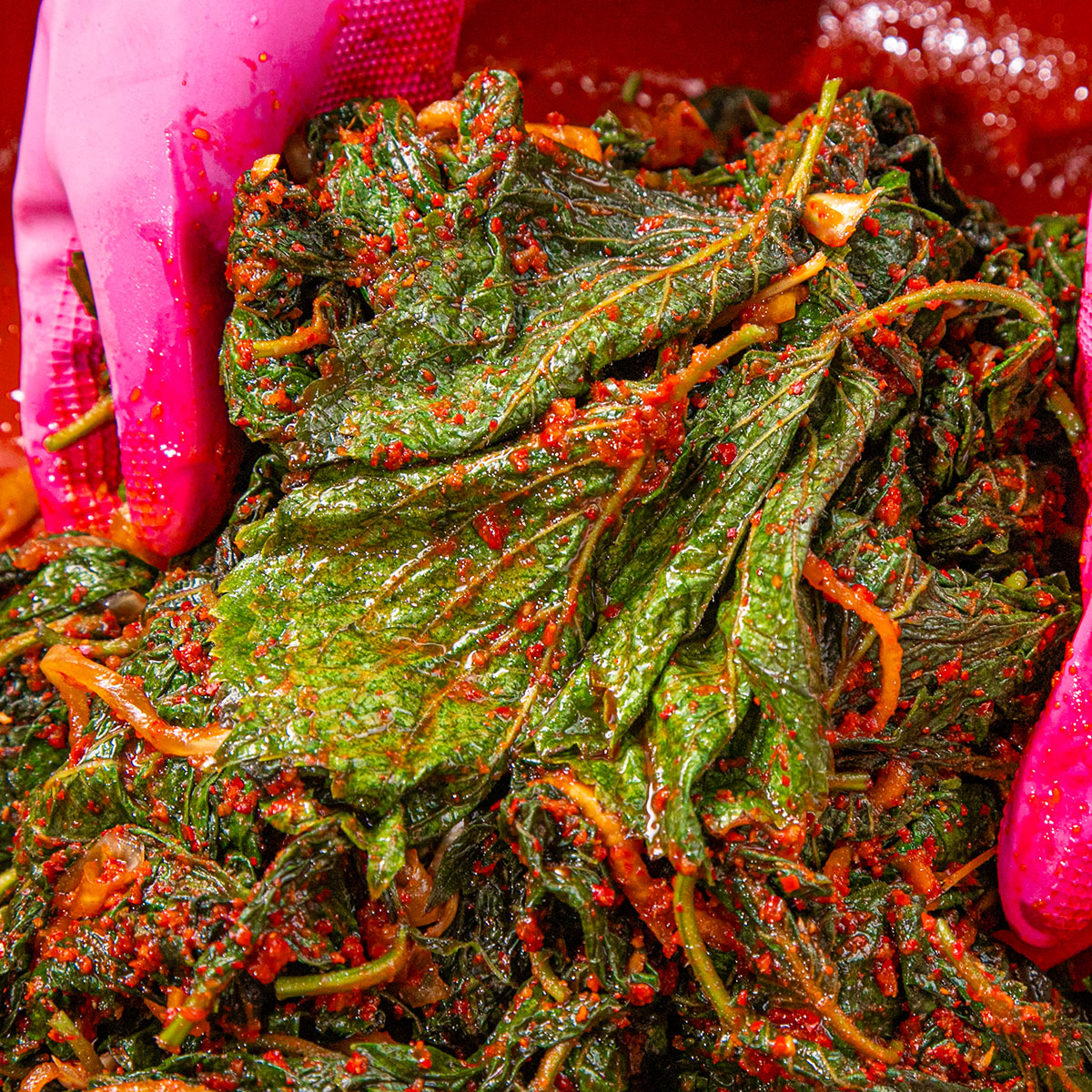칼칼한 전라도식 깻잎순김치 1kg - 상세 이미지 2