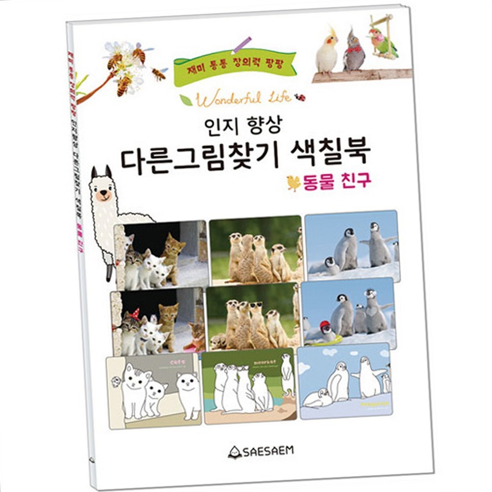 미술놀이관찰력향상색칠북 동물친구소근육운동색칠놀이 두뇌활동인지발달다른그림찾기 - 상품 이미지