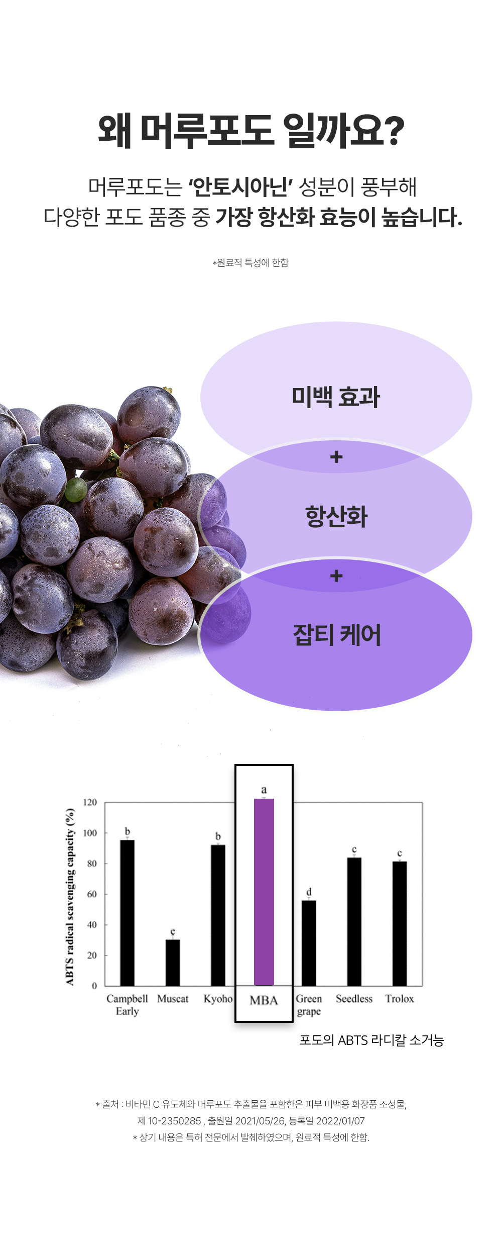 crème hydratante raisin sauvage coréen