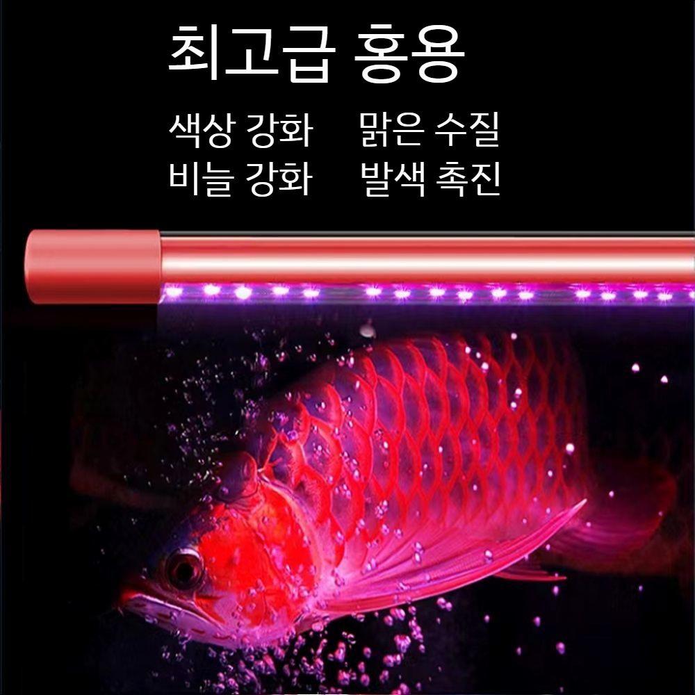 천어 홍용 수족관용 등커버 수족관조명 수조등 어항조명 태닝등 수초조명 LED등커버 LED 강력 적색 램프 52 CM - 상세 이미지 4