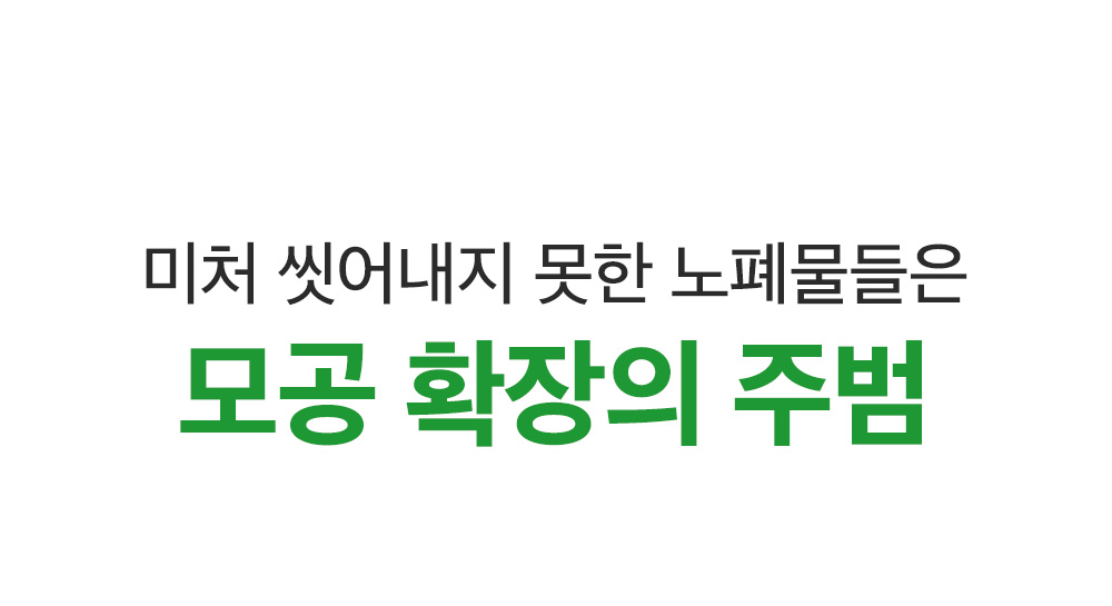 sungboon editor green tomato cleansing foam