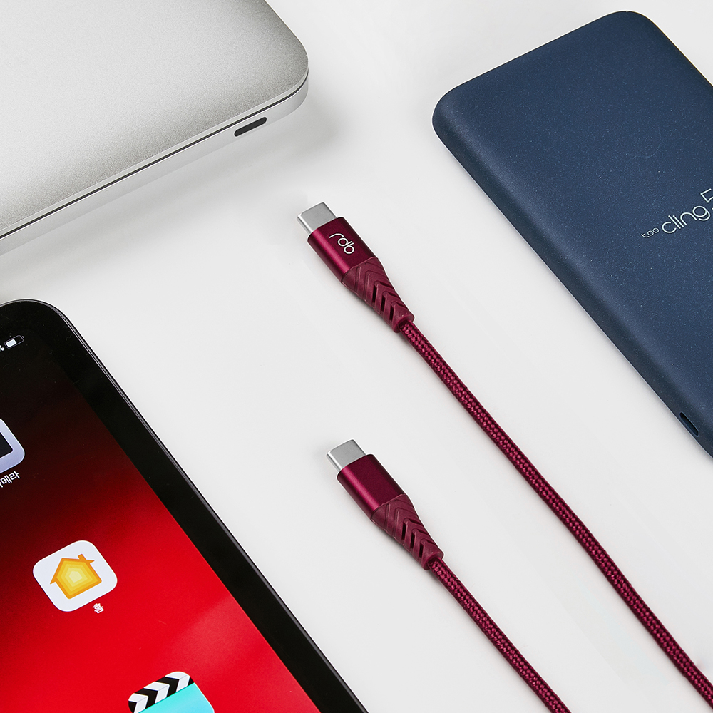 USB C 고속충전 PD 100W 케이블 레드빈 케이블 고속충전 추천 E-mark USB C