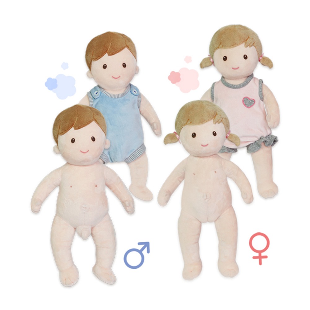 소근육발달인체탐구 우리몸탐구유치원교육성교육인형 신체명칭학습초등저학년인체인형 - 상품 이미지