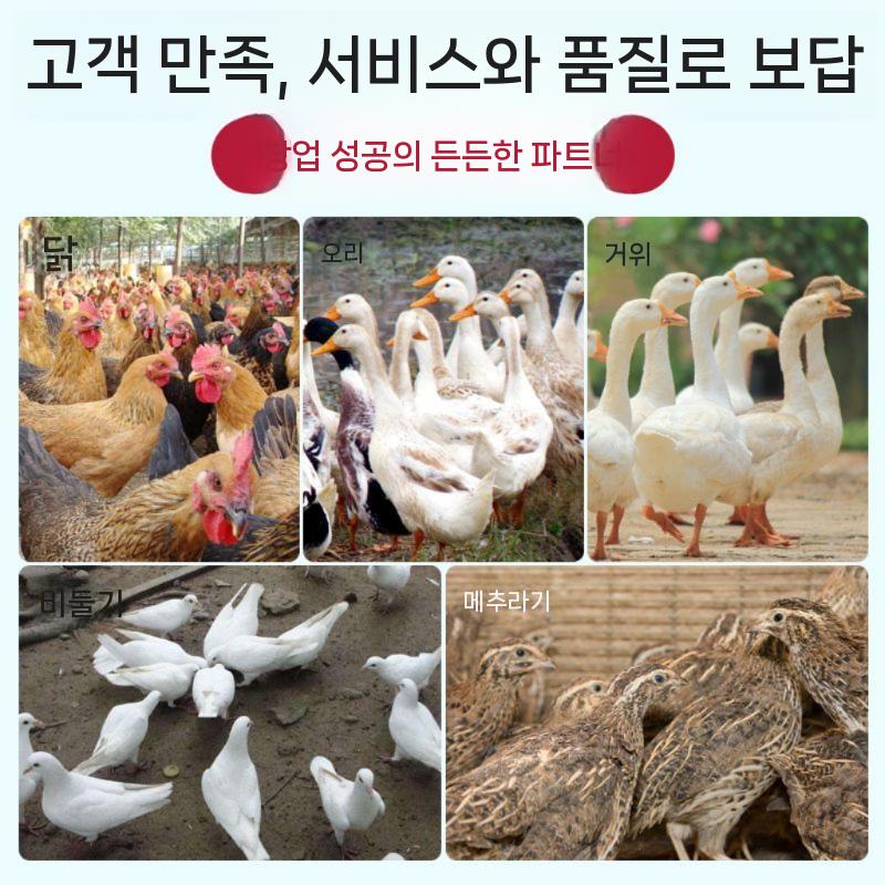 업소용 탈피기 식당 절단기 닭잡는기계 대형 고기 가정용 닭털뽑는기계 뷔페 전자동 음식 전기 - 상세 이미지 5