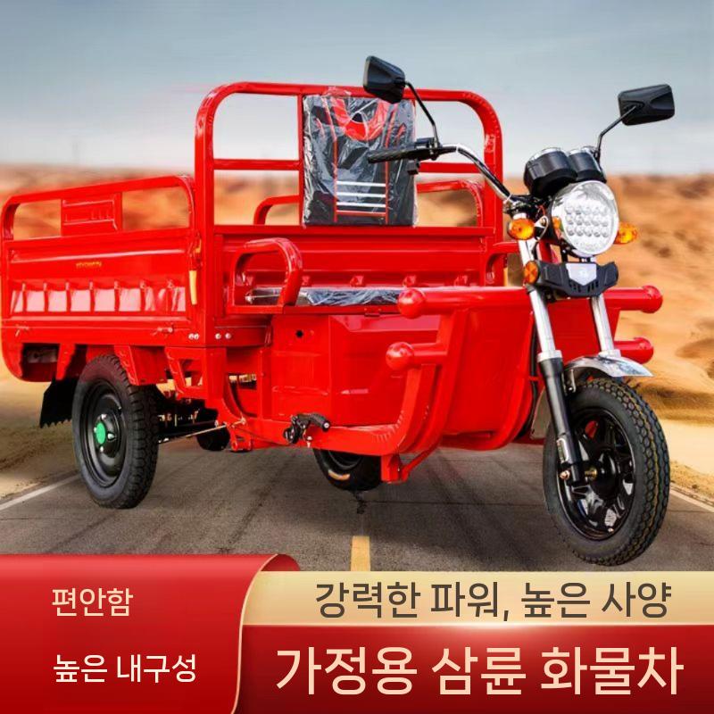 농업용 세발 3륜 오토바이 전기스쿠터 삼발이 삼륜 삼륜차 전기오토바이 전동 바이크 출퇴근 - 상세 이미지 3