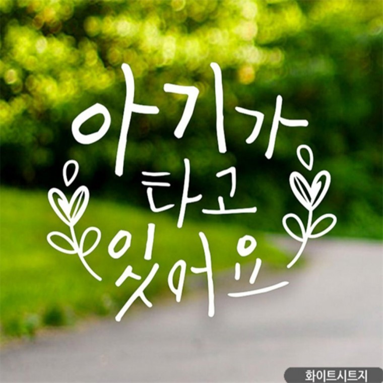 아기월계수 아기가타고있어요 자동차스티커 화이트 차량스티커 안전운전스티커 - 상품 이미지