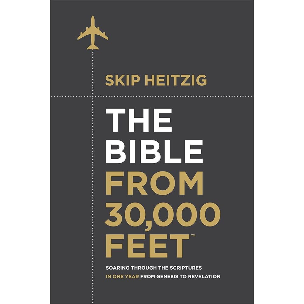 30,000피트에서 본 성경 창세기부터 요한계시록까지 1년 만에 성경 속으로 치솟음 - 상품 이미지