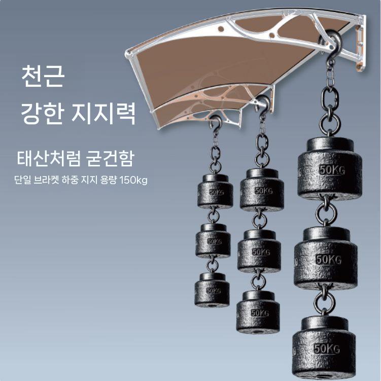 주택 캐노피 판넬 차양막 카페어닝 창고 농막 베란다 야외 간이 사이드월 조립식 야외창고 60x120cm 알루미늄 합금 두꺼워진 - 상세 이미지 2