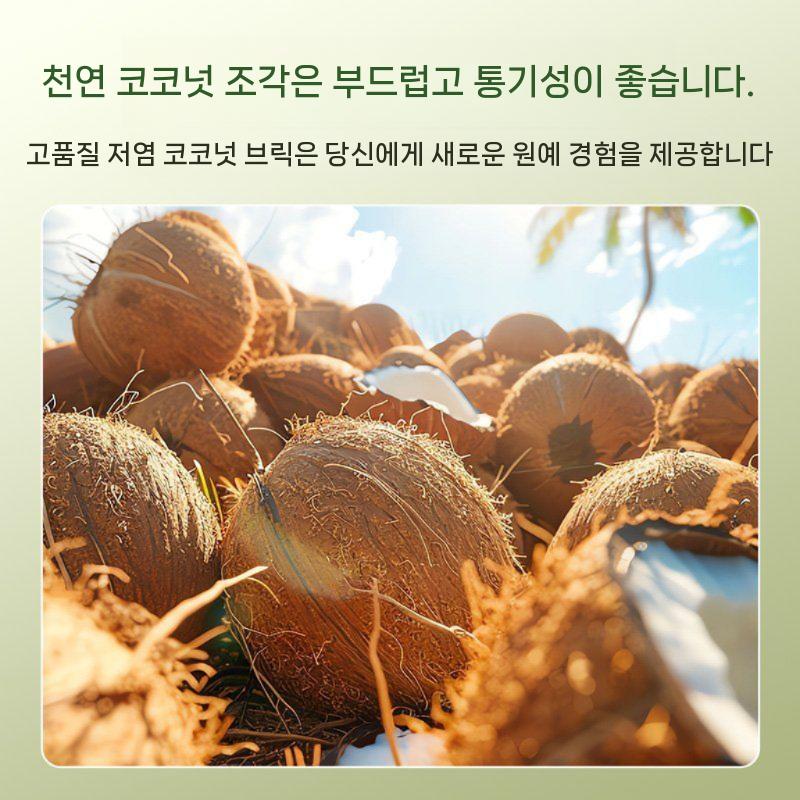 발효 어항돌 배양토 펄라이트 난석 원예용 저염 다육이 모래 자갈 상토 벽돌형 분갈이흙 화분 비료 2 팩 - 상세 이미지 3