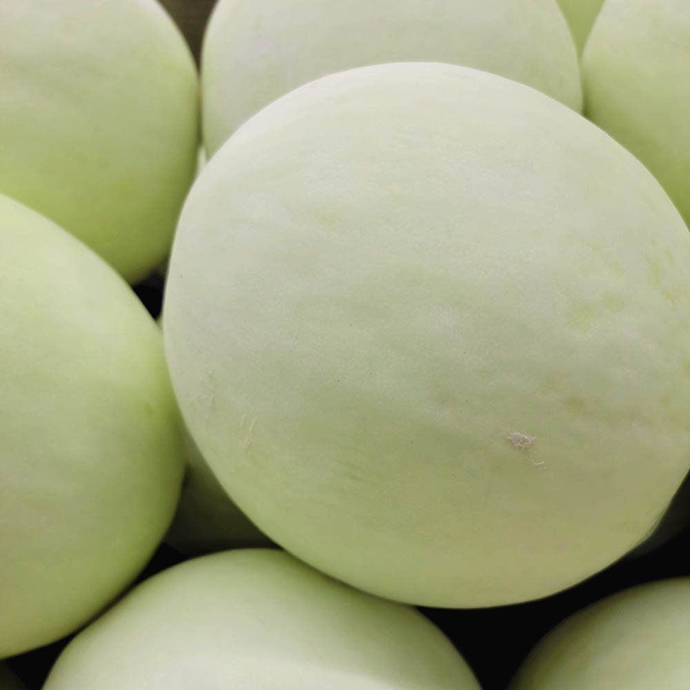 신선마켓 허니듀멜론 수입멜론 1.8kg, 1개 - 상세 이미지 4