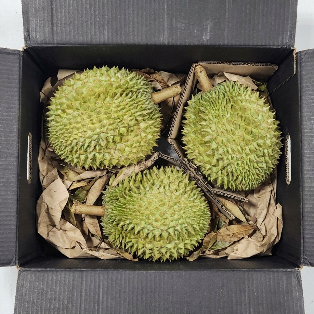 생두리안 9kg 원물박스 - 상세 이미지 3
