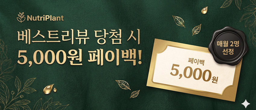 뉴트리플랜트 식물성 멜라토닌 10mg 플랜트멜라 고함량 HACCP 인증 120정, 3개 판매처 상세 정보 이미지 3
