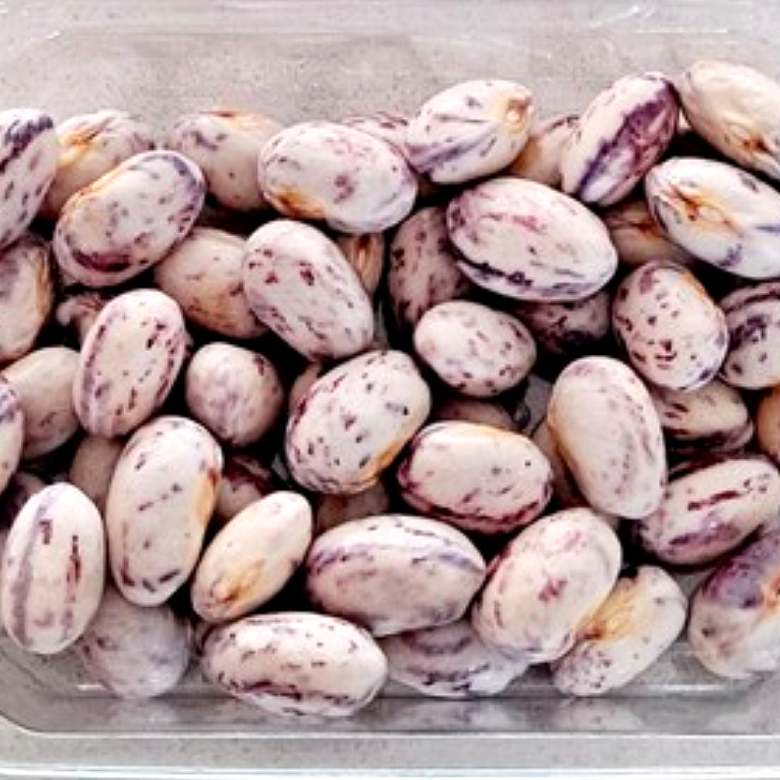 호랑이콩 국산 호랑이강낭콩 강낭콩 울타리콩 밤콩(껍질째) 26년 햇 200g, 1개 이미지 6