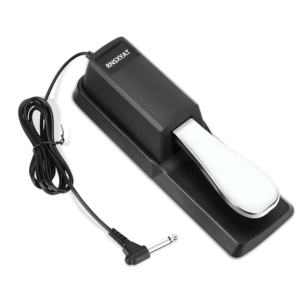지속 페달, 키보드 유니버설용 MIDI 키보드, 디지털 피아노, 야마하, 카시오 등을 위한 극성 스위치가 있는 키보드용 프리미엄 피아노 RNSXYAT의 1/4인치 입력 플러그