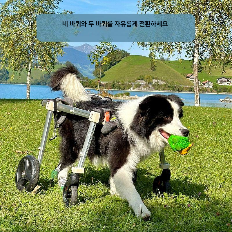 강아지휠체어 4륜 보행기 소형견 접이식 뒷다리 바퀴 애견 산책 노령견 반려견 노견 사륜 - 상세 이미지 2