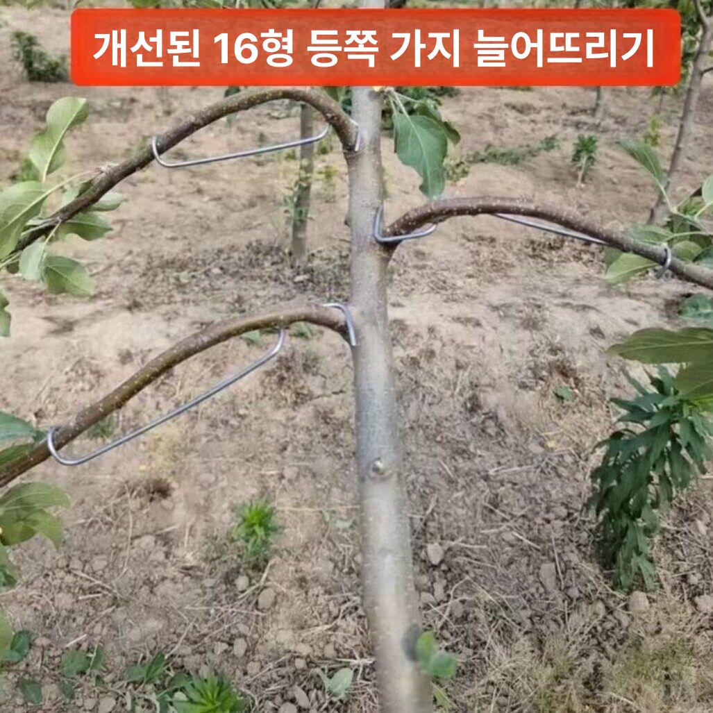 식물 고정클립 100개 사과나무 고정 원예 유인용 - 상세 이미지 4