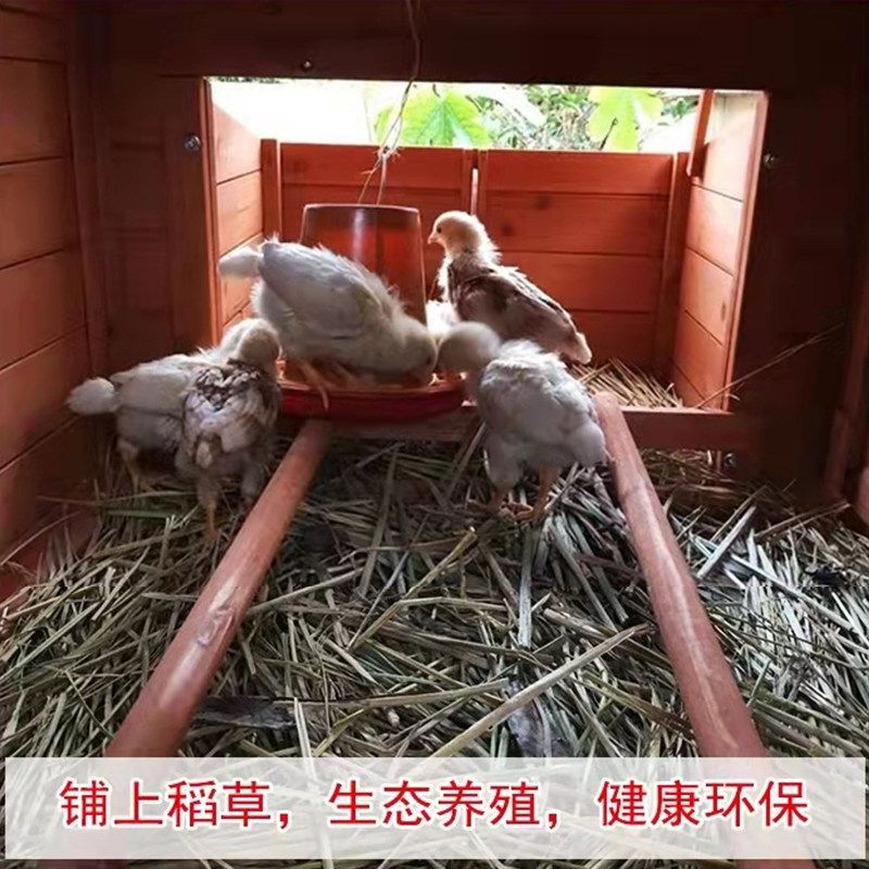 철장 토끼장 실내 사육장 대형 토끼집 은신처 대형견 대형견집 케이지 하우스 고양이 원목 - 상세 이미지 5