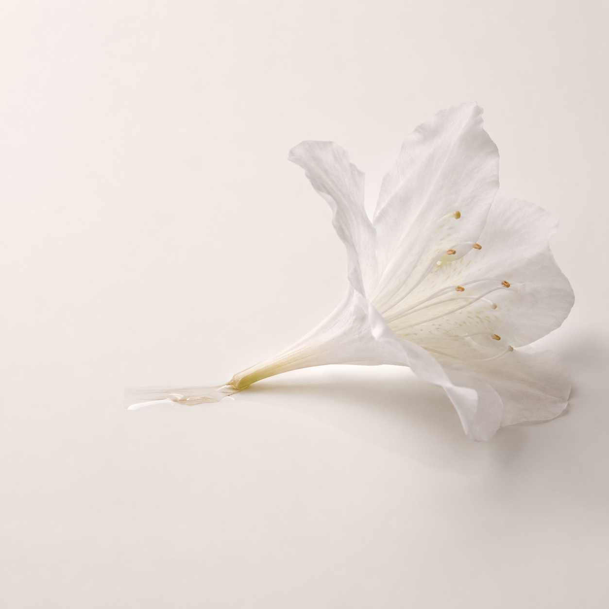 조향 향료 진달래꿀, 10ml, 1개 - 상세 이미지 3