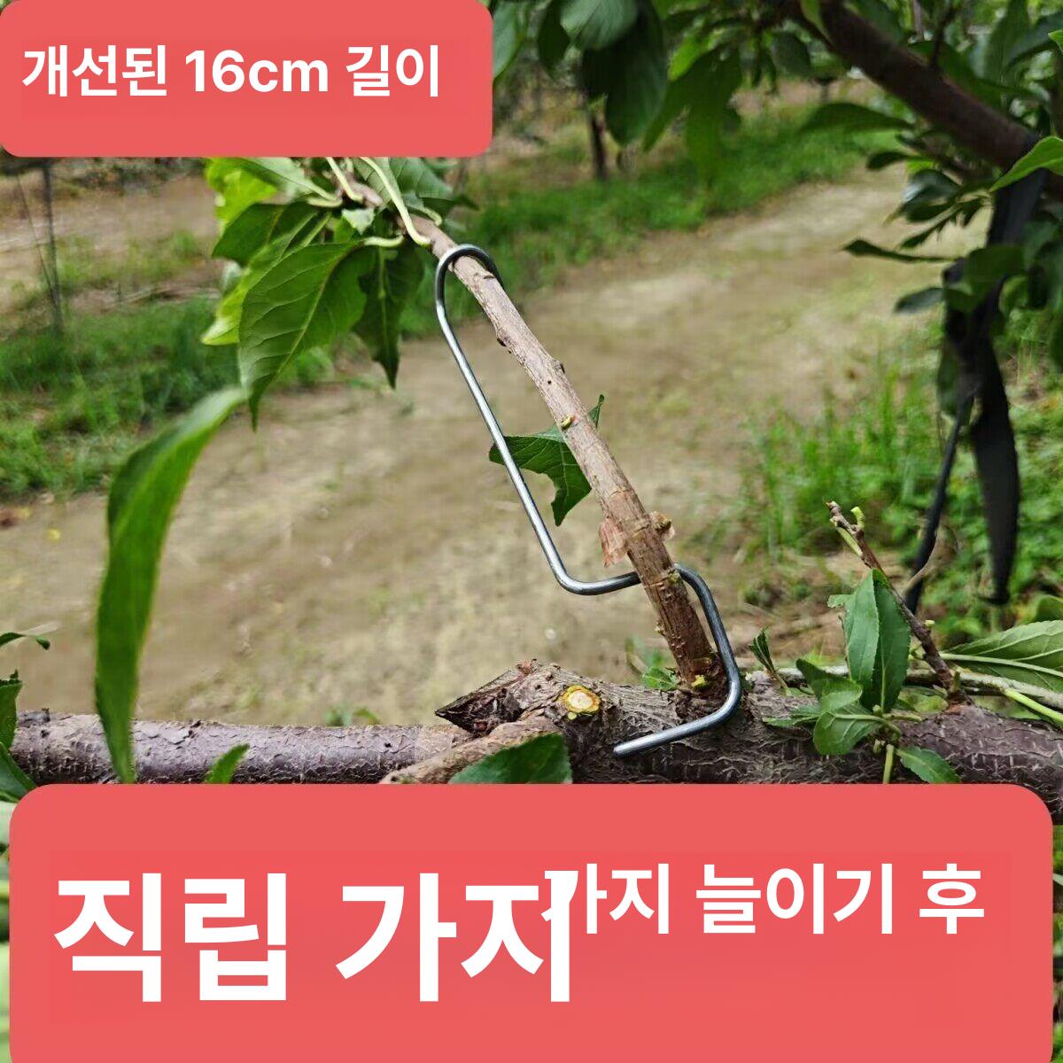 식물 고정클립 100개 사과나무 고정 원예 유인용 - 상세 이미지 2