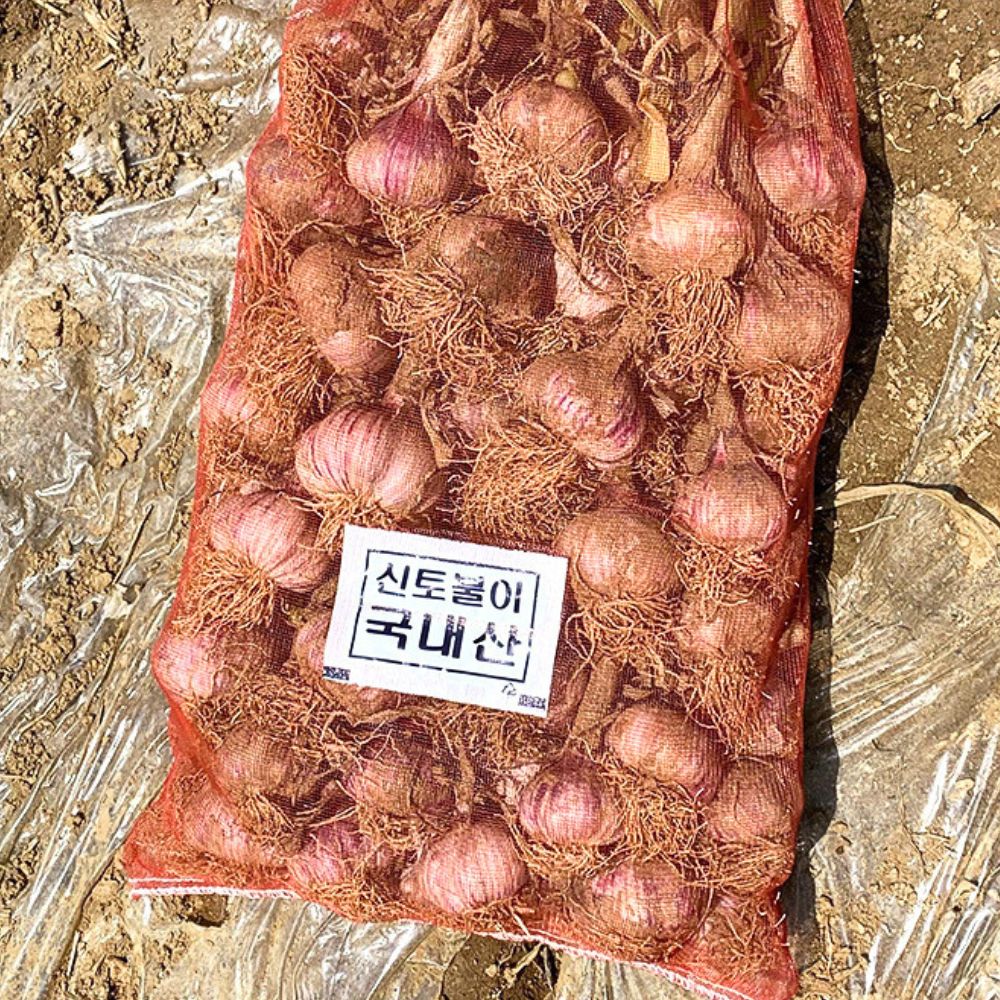 국내산 햇 마늘 선별 3kg 대크기 중크기 혼합 이미지 7