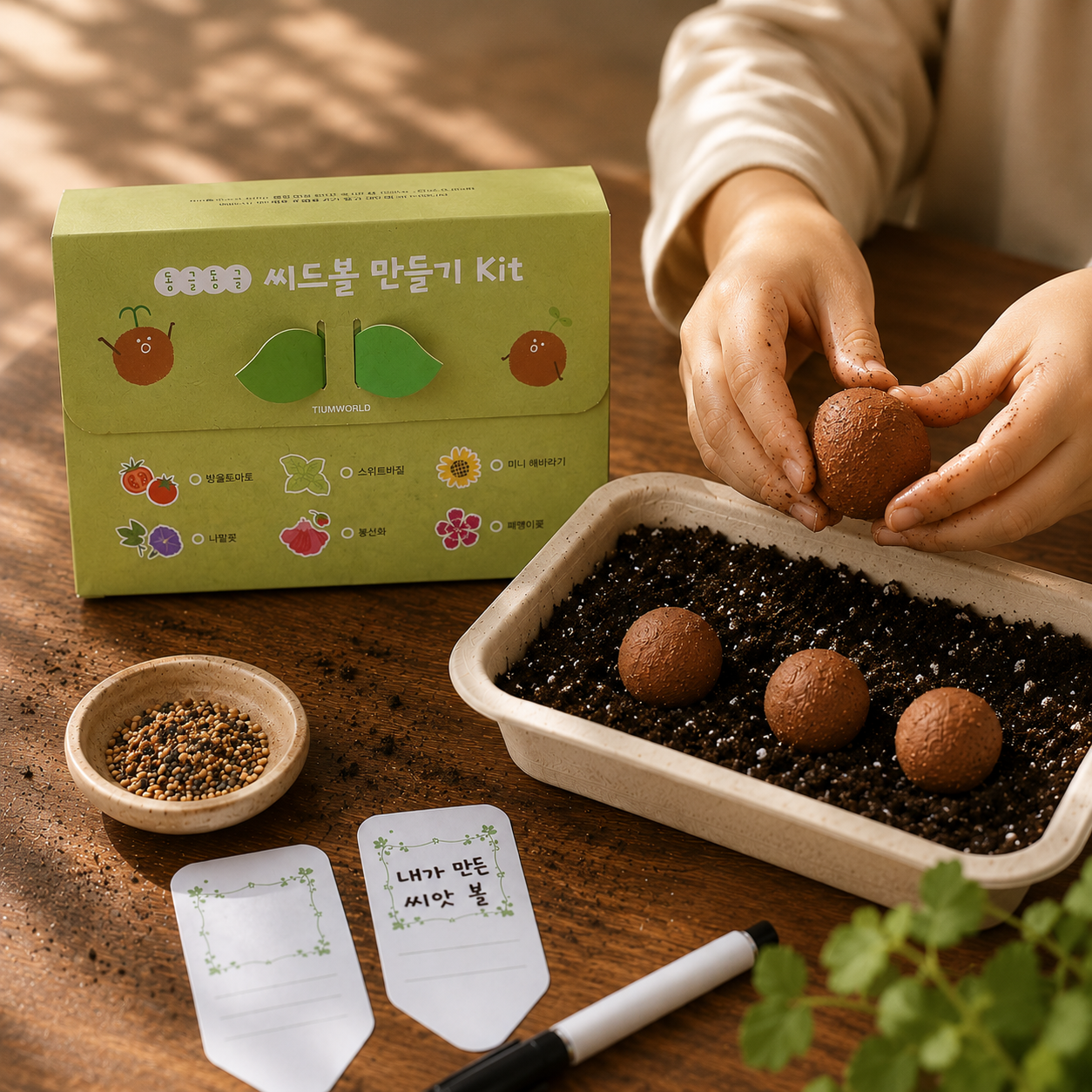 씨드볼만들기 DIY 식물키우기 키트 방울토마토 바질 해바라기 바질 봉선화 패랭이꽃
