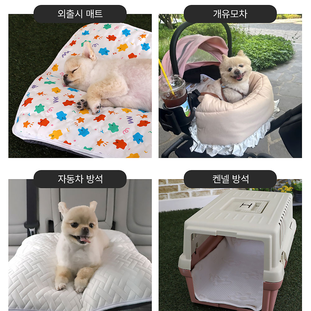 강아지쿨매트 듀라론 냉감패드 강아지쿨매트추천 쿨매트사용후기