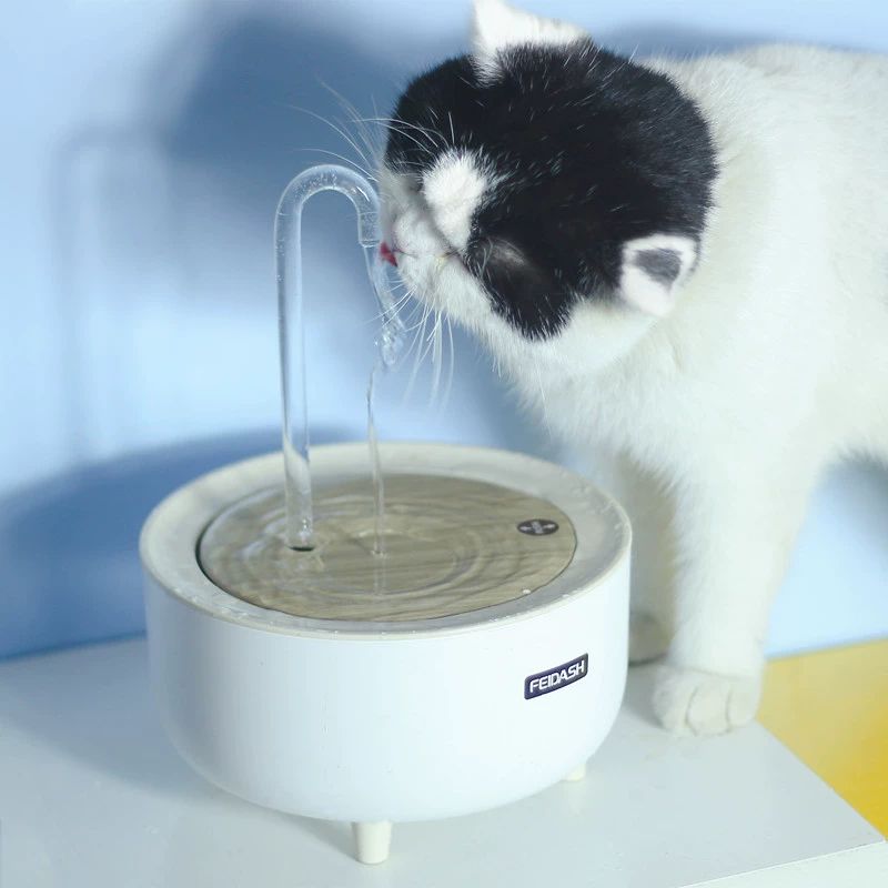 고양이 정수기 대용량 자동 순환식 분수대 반려동물 음수기 깨끗한 물 - 상세 이미지 4